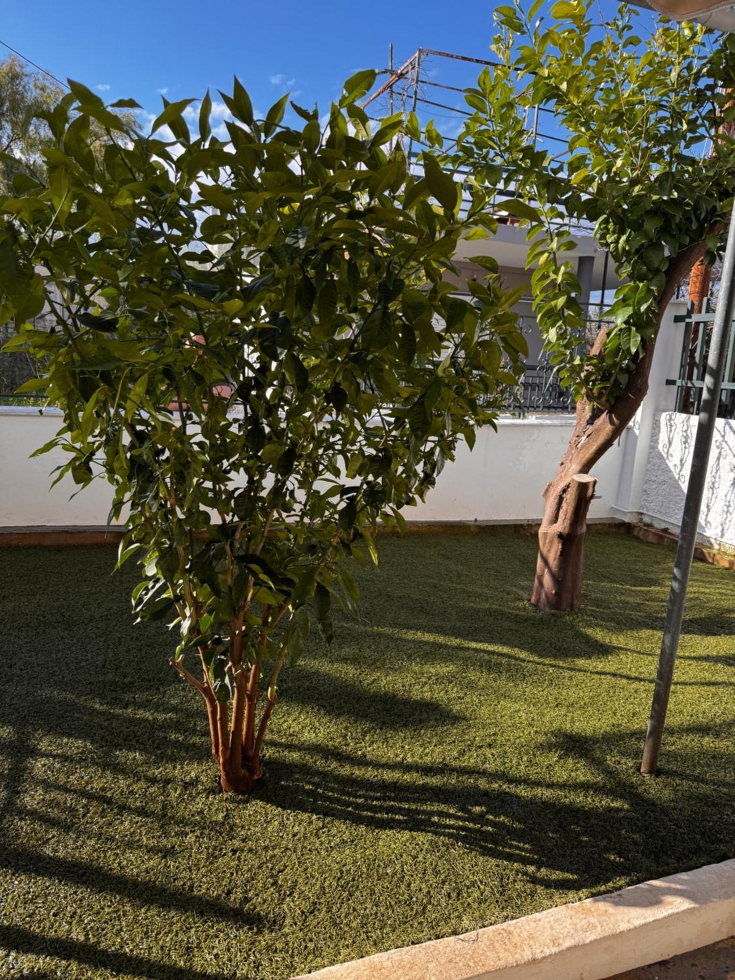 Villa Salamis Luxury Escape Esterno foto